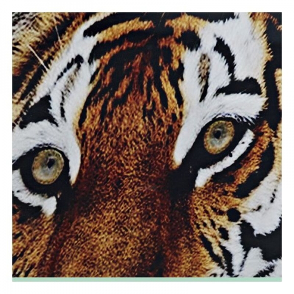 Painting DKD Home Decor Leopard Tiger Lacquered (2 pcs) (62 x 2 x 92 cm)